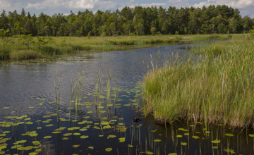 Lake