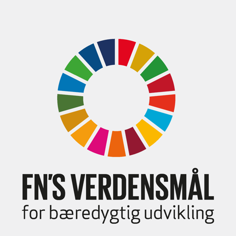 FN Verdensmaal Ikon Logo