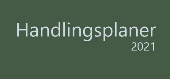 Handlingsplaner