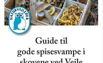 Svampeguide