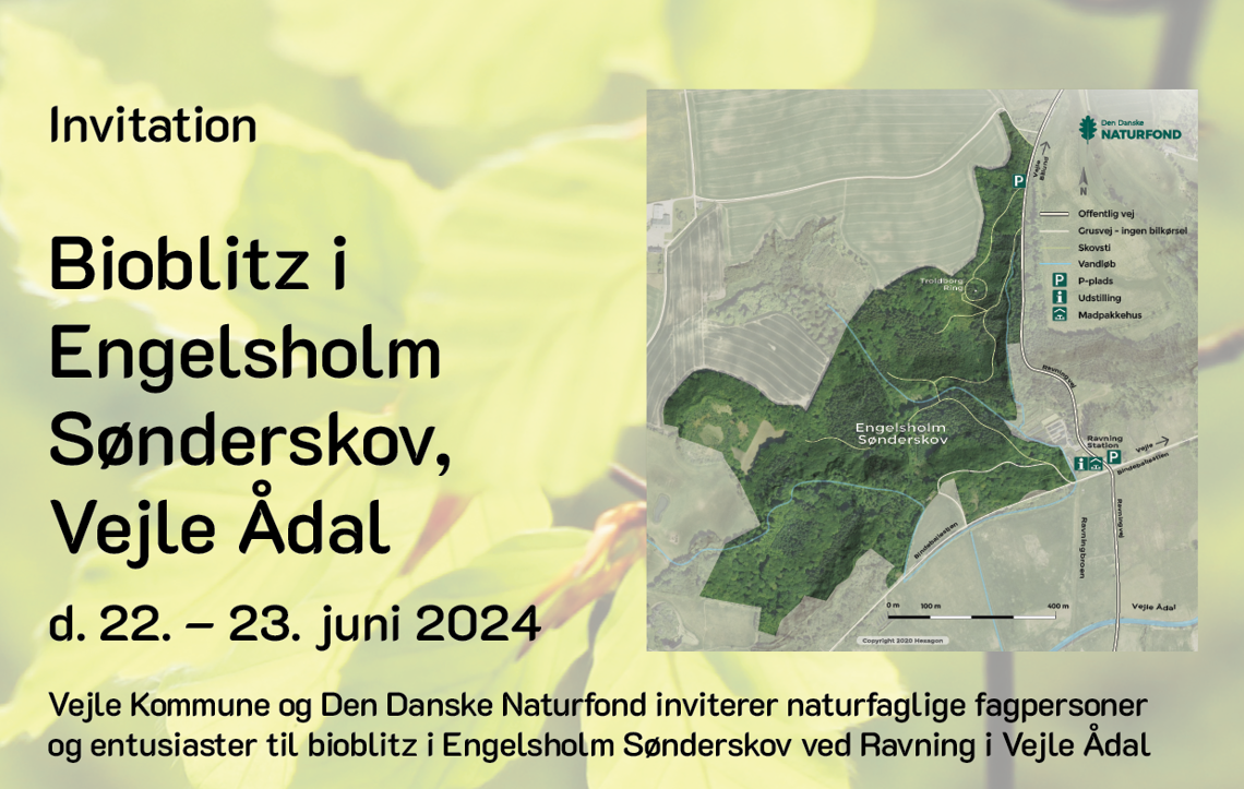 Invitation Bioblitz Engelsholm Sønderskov Udklip