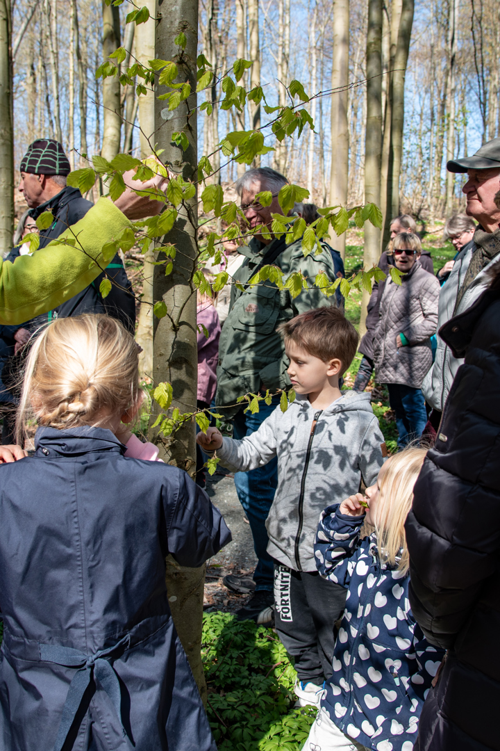 20190417 DSC 0453 Karin Laursen
