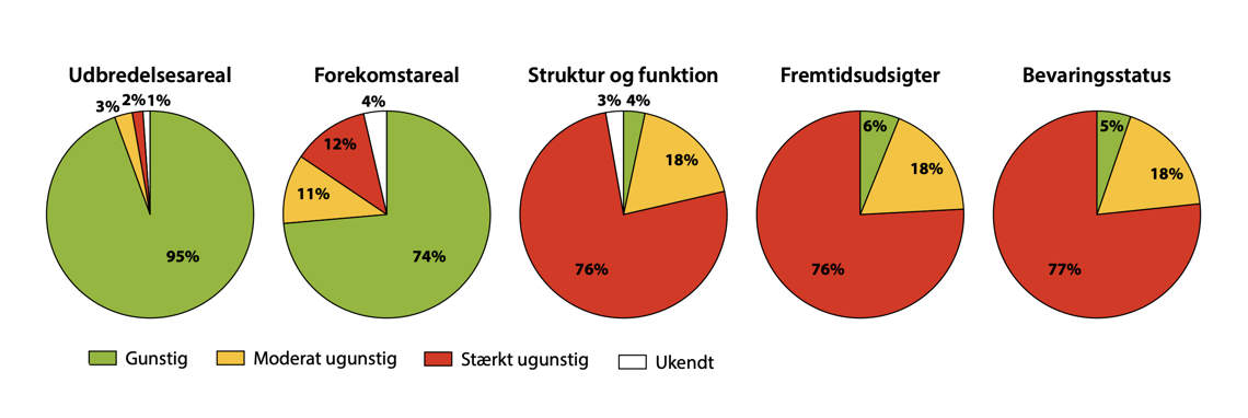 Status 2